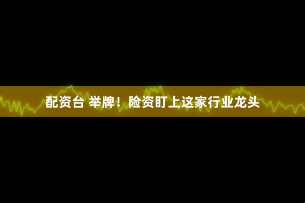 配资台 举牌！险资盯上这家行业龙头